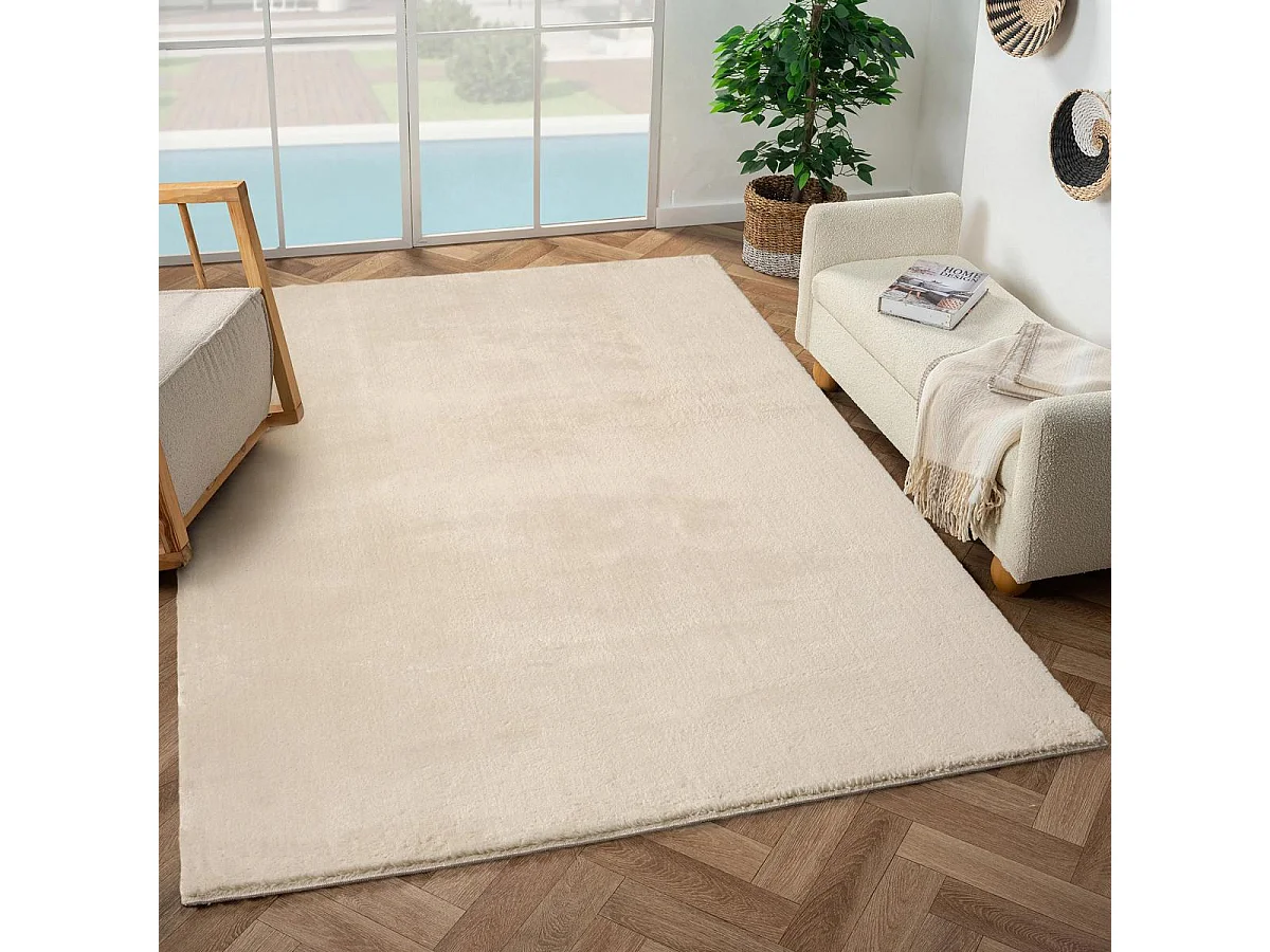 Tapis salon LYN10 LAVABLE 160x230 soyeux et doux, tapis beige uni à l'aspect Shaggy