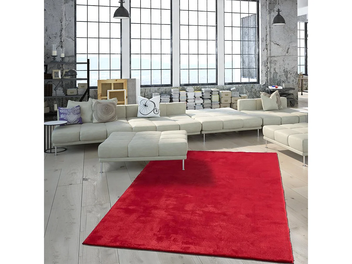 Tapis d'entrée LYN10 LAVABLE 80x150 soyeux et doux, tapis rouge uni à l'aspect : Shaggy