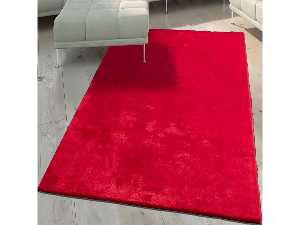 Tapis d'entrée LYN10 LAVABLE 80x150 soyeux et doux, tapis rouge uni à l'aspect : Shaggy