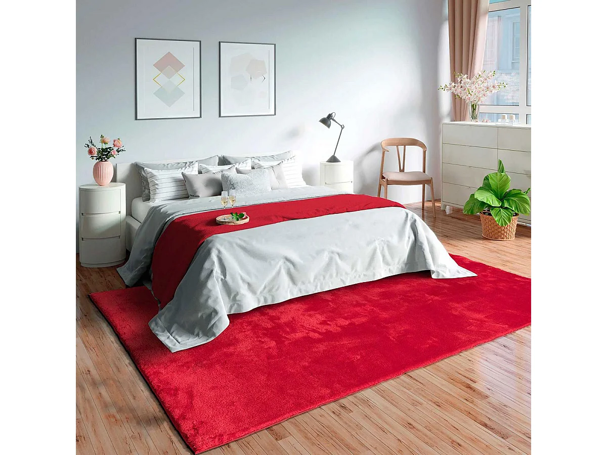Tapis d'entrée LYN10 LAVABLE 80x150 soyeux et doux, tapis rouge uni à l'aspect : Shaggy