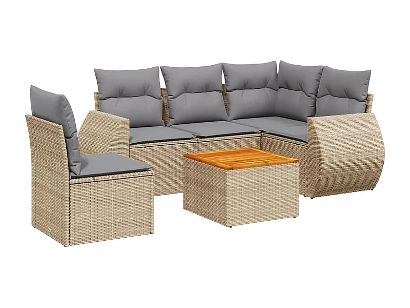 Salon de jardin avec coussins 6 pcs beige résine tressée