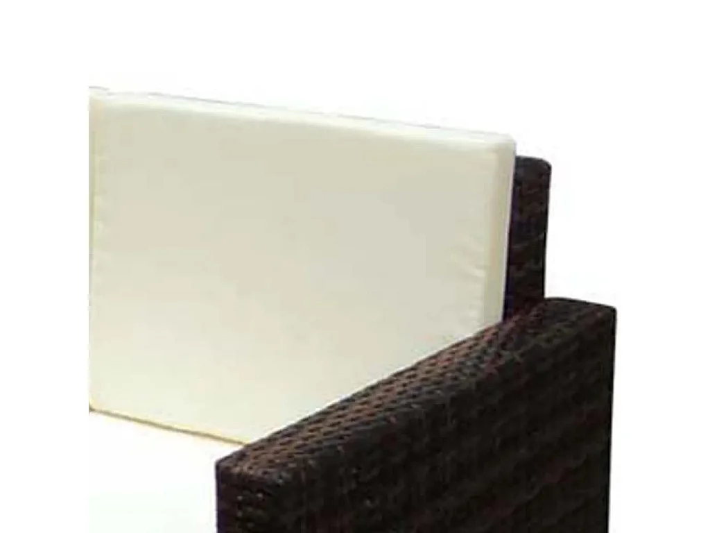 Salon de jardin 2 pcs avec coussins Résine tressée Marron