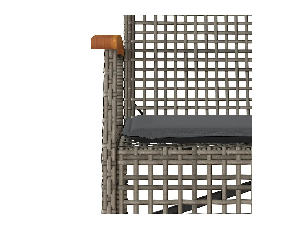 Ensemble à manger de jardin 3 pcs coussins gris résine tressée