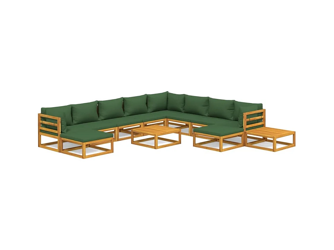 Salon de jardin 12 pcs avec coussins vert bois massif