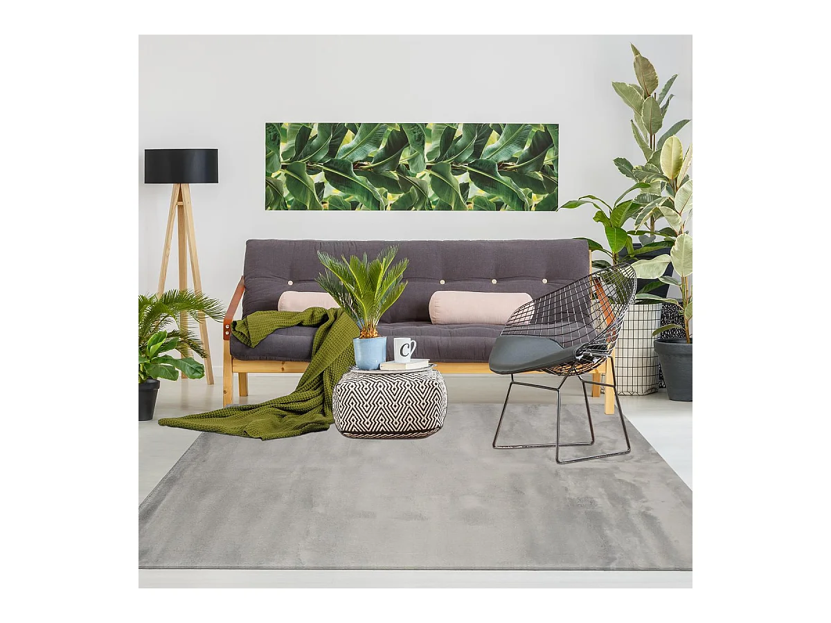 Tapis d'entrée LYN10 LAVABLE 80x150 soyeux et doux, tapis gris uni à l'aspect : Shaggy