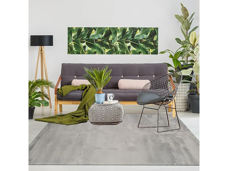 Tapis d'entrée LYN10 LAVABLE 80x150 soyeux et doux, tapis gris uni à l'aspect : Shaggy