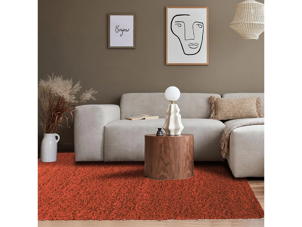 Alfombra Shaggy de pelo largo 160x230 rectangular tejida con motivos lisos color terra UNI L