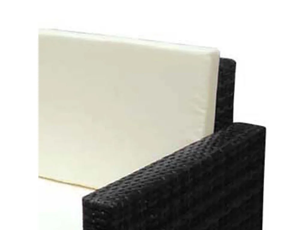 Salon de jardin 2 pcs avec coussins Résine tressée Noir