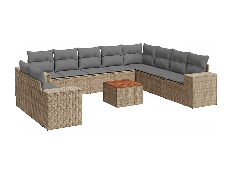 Salon de jardin 11 pcs avec coussins beige résine tressée
