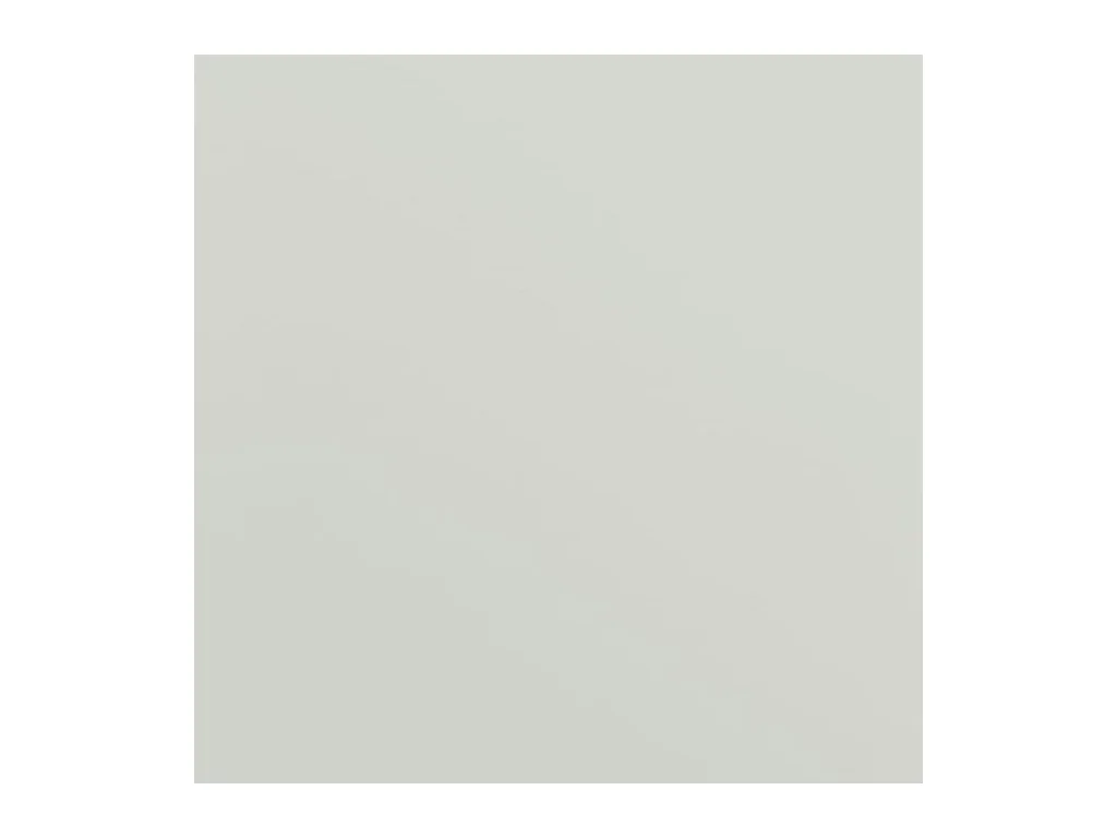 Archiefkast 90x40x200 cm staal lichtgrijs