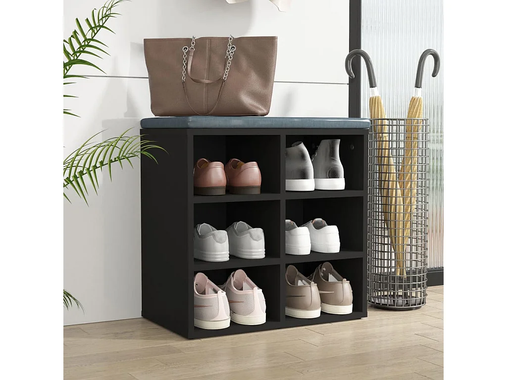 Armoire à chaussures noir 52,5x30x50