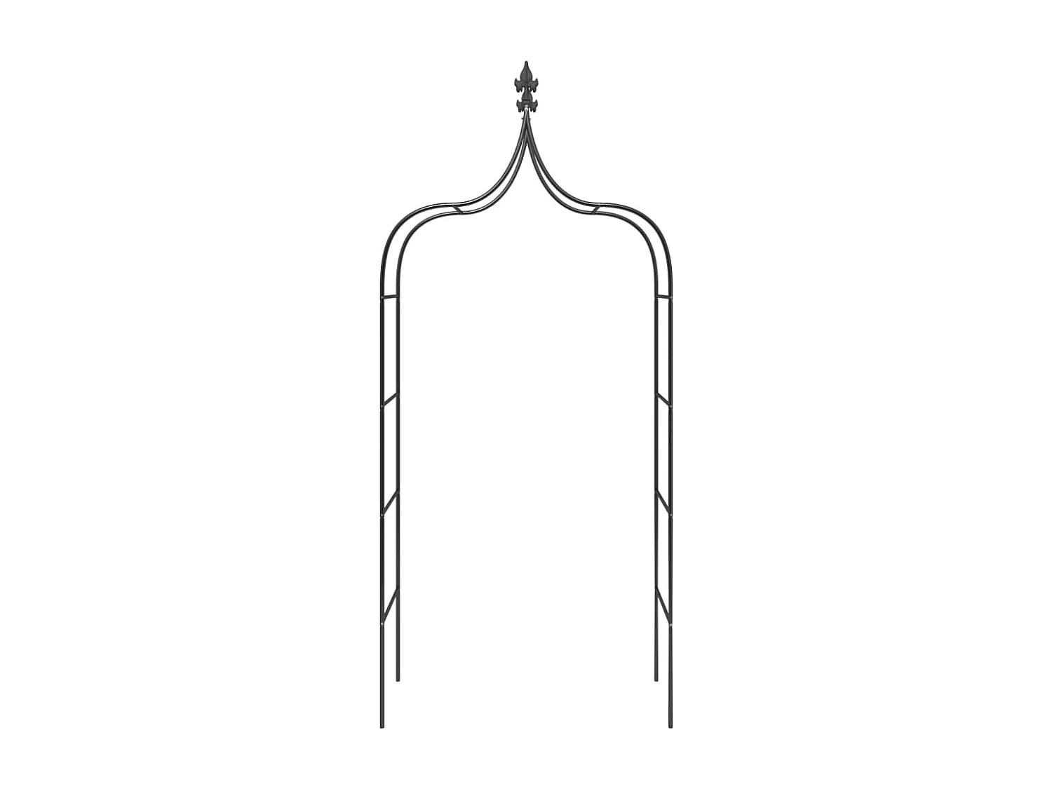 Arches de jardin 2 pcs Noir 120x38x260 Acier