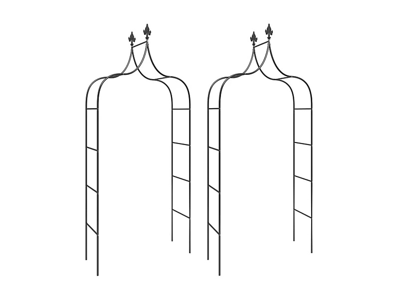 Arches de jardin 2 pcs Noir 120x38x260 Acier