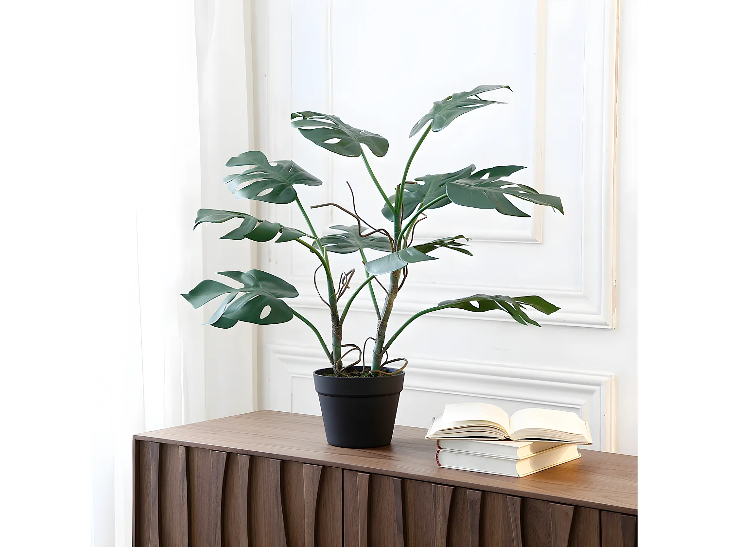 Monstera en pot - Vert