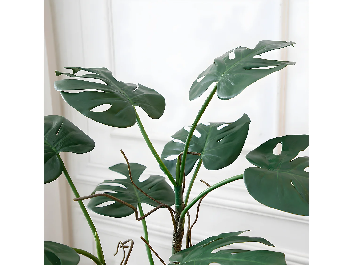 Monstera en pot - Vert