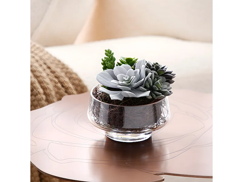 Composition de Succulentes en vase transparent Grand format - Vert