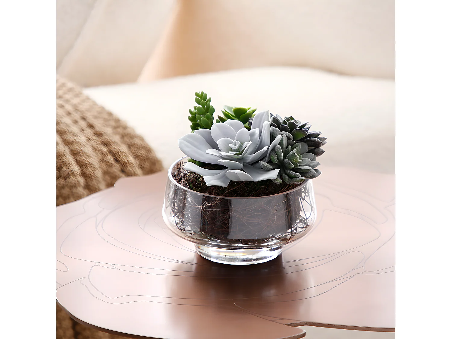 Composition de Succulentes en vase transparent Grand format - Vert