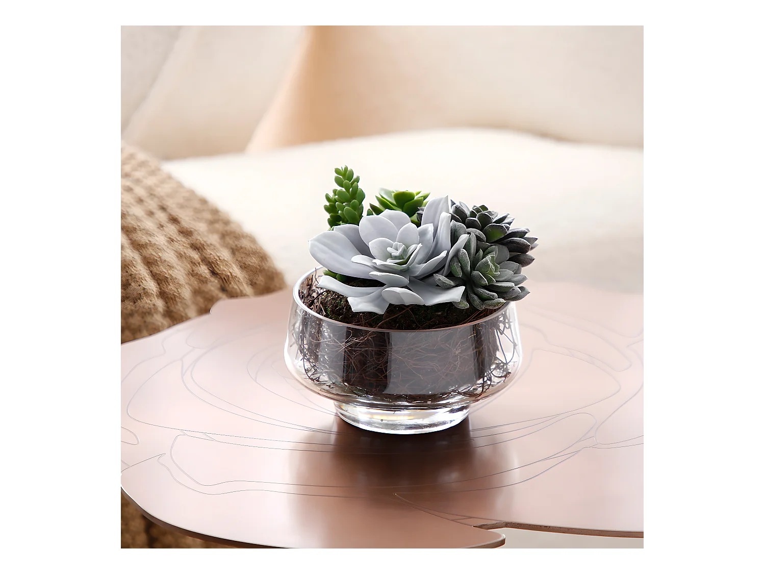 Composition de Succulentes en vase transparent Grand format - Vert