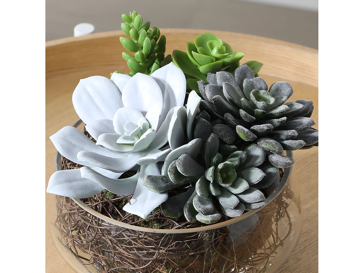 Composition de Succulentes en vase transparent Grand format - Vert