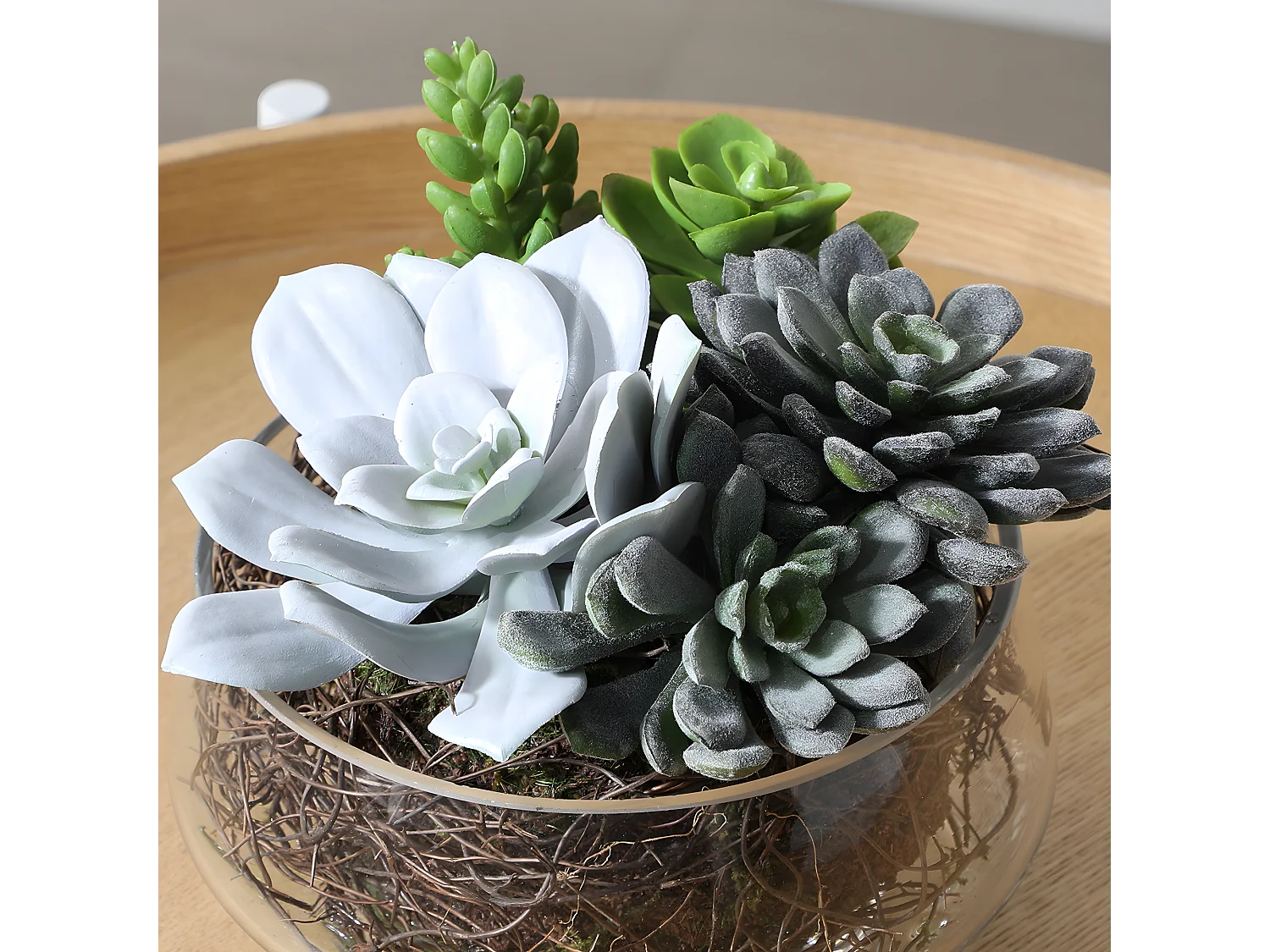 Composition de Succulentes en vase transparent Grand format - Vert
