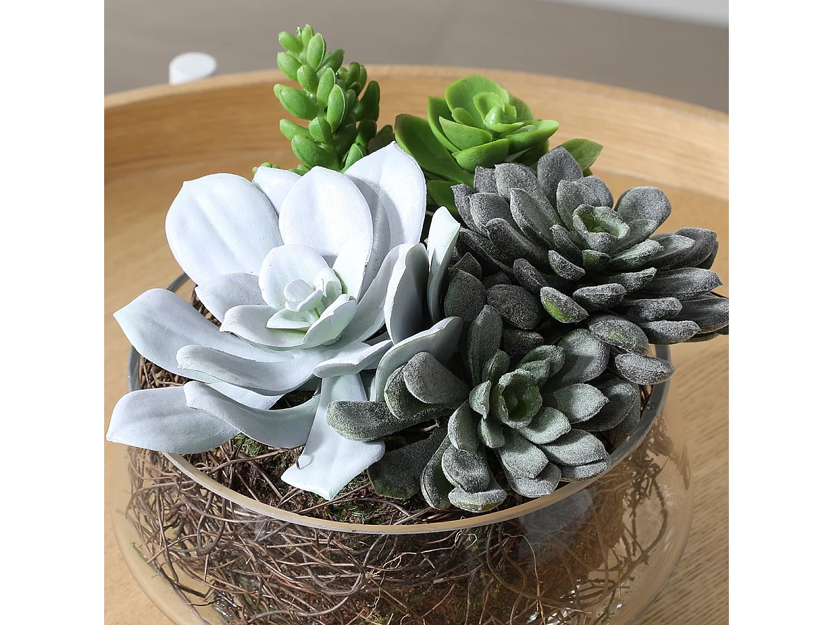 Composition de Succulentes en vase transparent Grand format - Vert