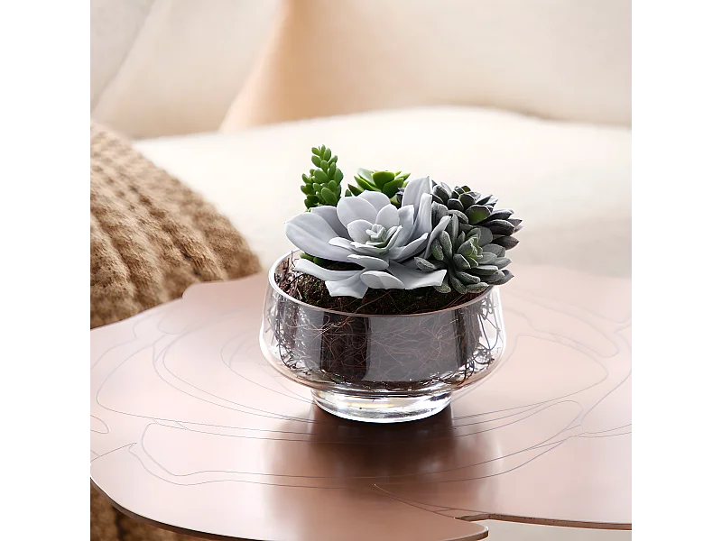 Composition de Succulentes en vase transparent Grand format - Vert