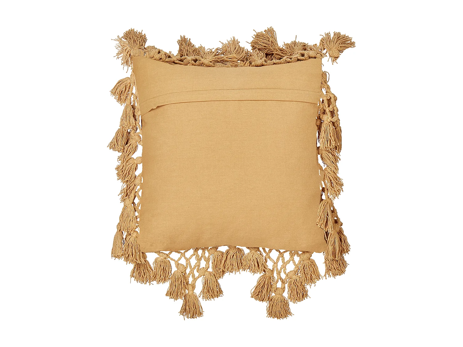 Lot de 2 coussins décoratifs OLEARIA Coton 45 x 45 cm Beige sable Unicolore