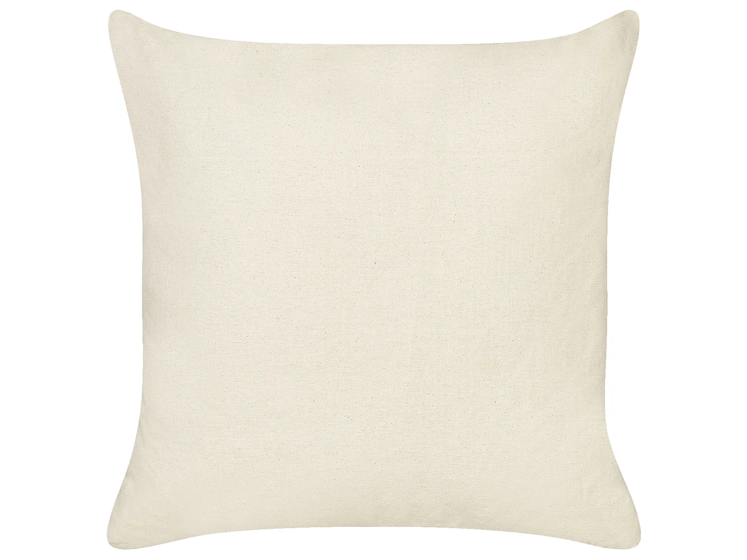 Lot de 2 coussins décoratifs PLUMERIA Coton 45 x 45 cm Beige Texte