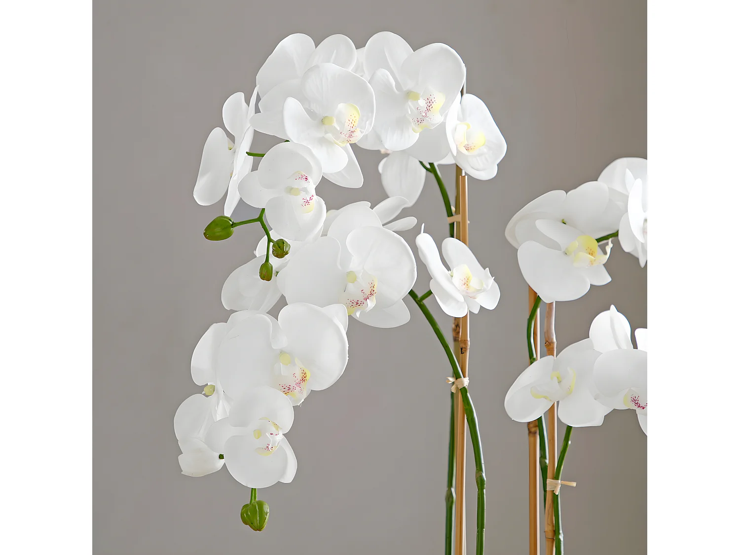 Composition d'Orchidée Artificielle avec vase doré Grand Format - Blanc / 79 cm