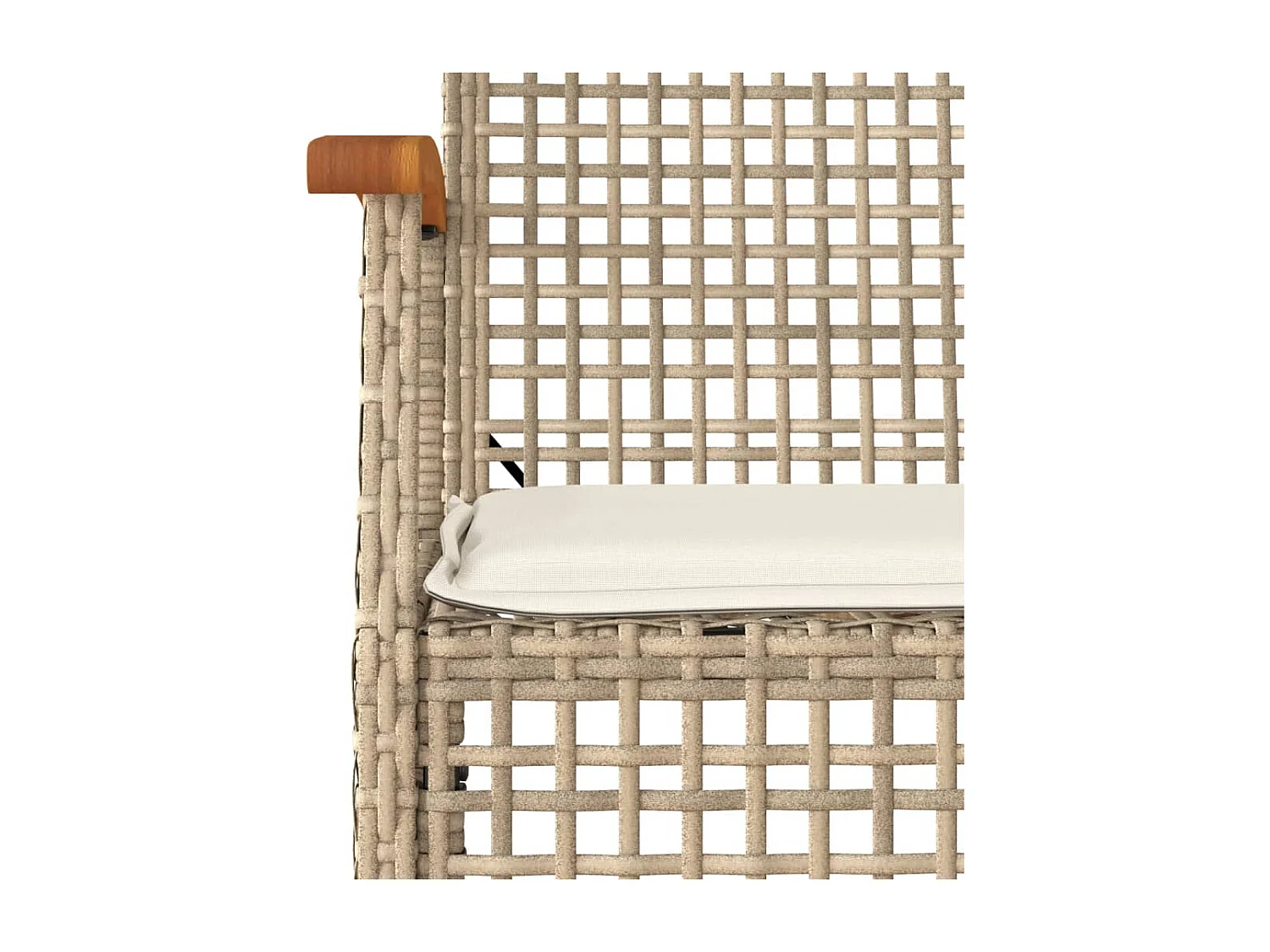 Set comedor de jardín 9 piezas con cojines ratán sintético beige