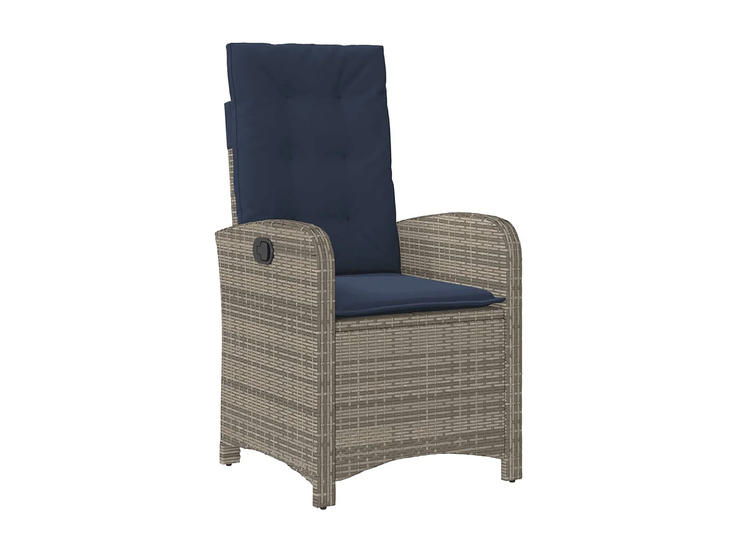 Ensemble à manger de jardin et coussins 9 pièces beige Poly rotin