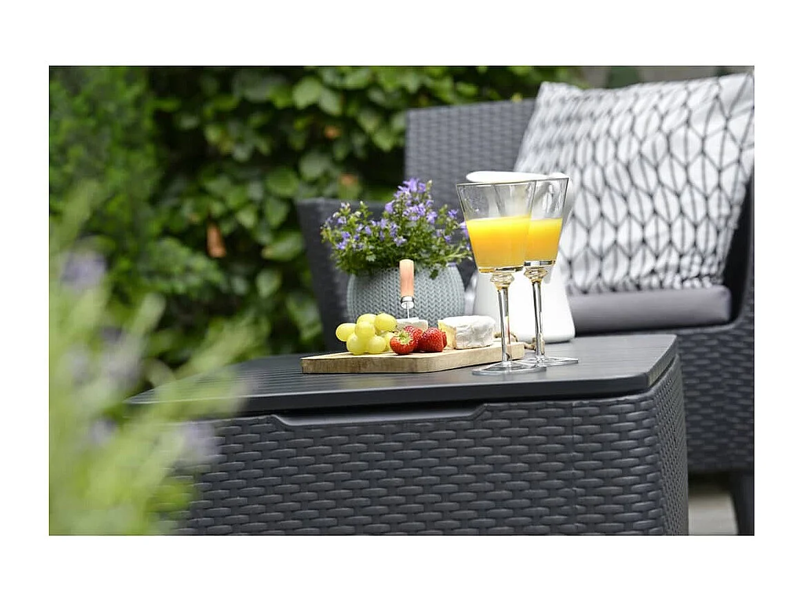 Jeu de canapés de jardin 8 pièces Salemo Graphite 236629