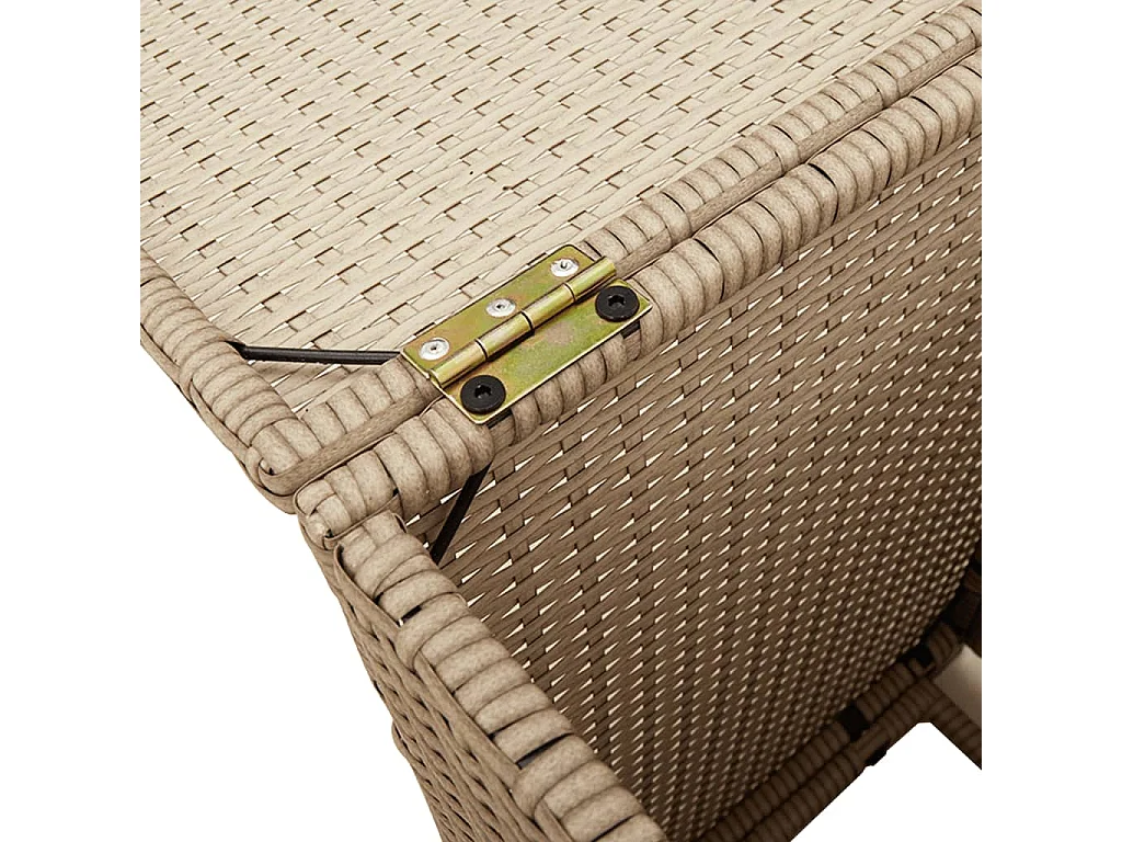 Afdekkast voor propaangasfles 40x40x60 cm Poly Rattan beige