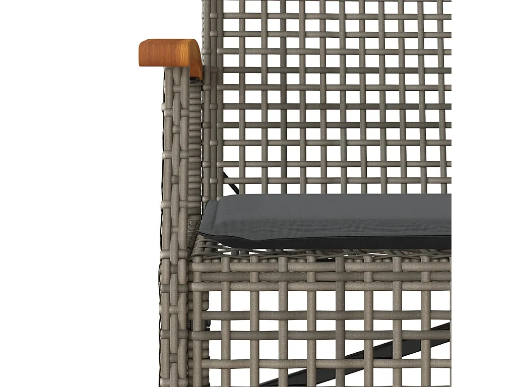 Gartenbank mit Kissen Grau Poly Rattan Akazienholz