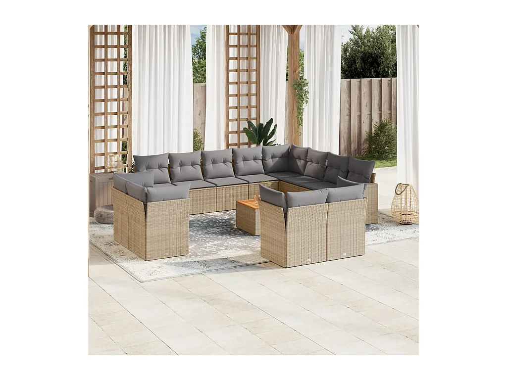 Salon de jardin et coussins 13 pcs mélange beige résine tressée