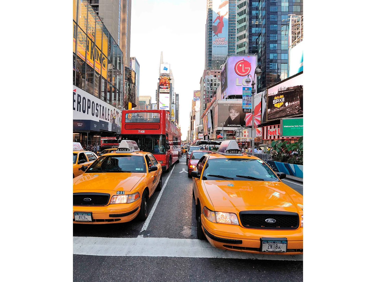 ESTORALIS | Estores Personalizados URBAN | 110 x 180 cm (Ancho por Alto) Tamaño de Tela 107 x 175 cm | Modelo U-1019 Color Unico