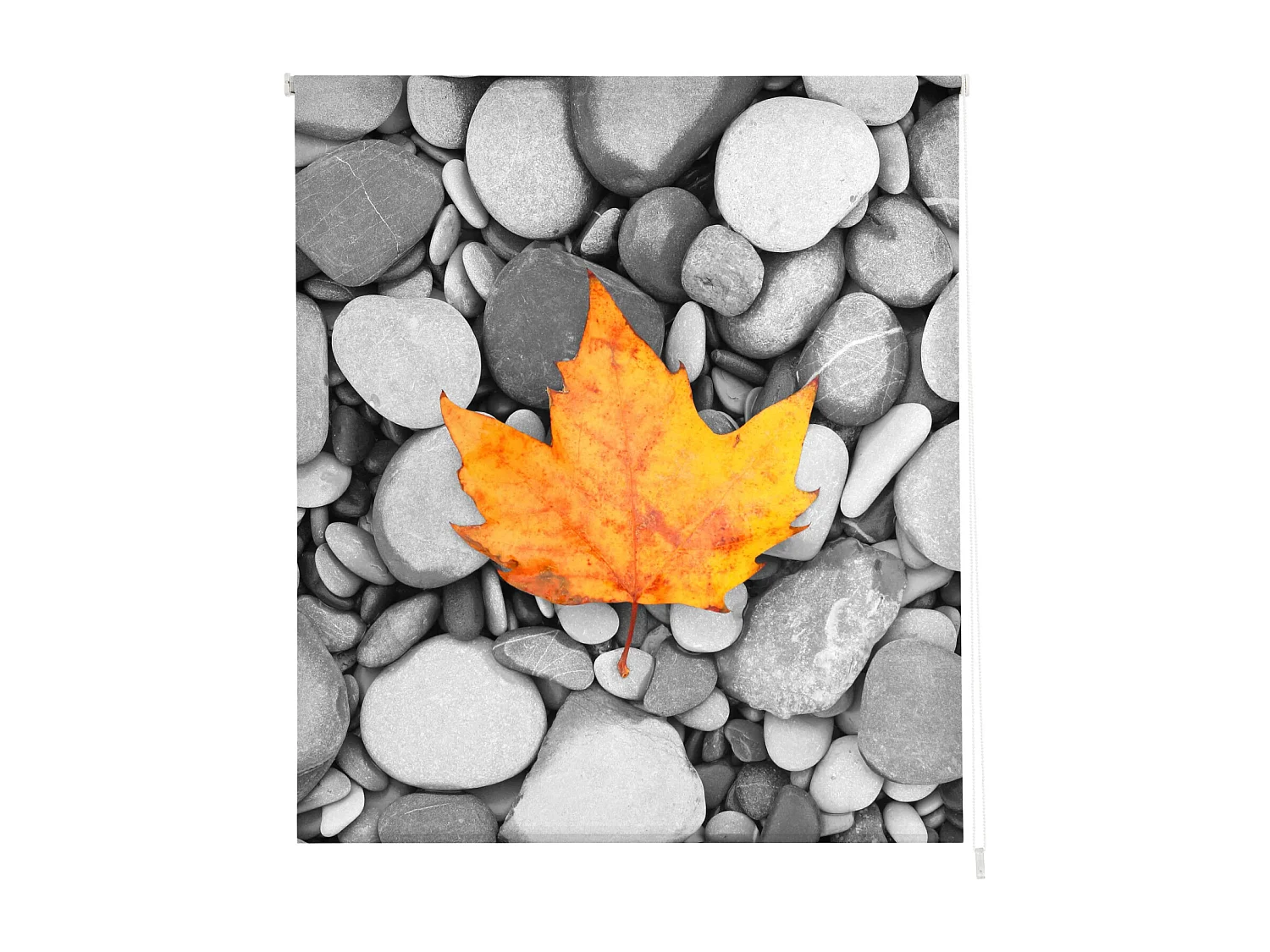 ESTORALIS | Estores Personalizados ZEN  | 150 x 180 cm (Ancho por Alto) Tamaño de Tela 147 x 175 cm | Modelo Z-3041 Color Unico