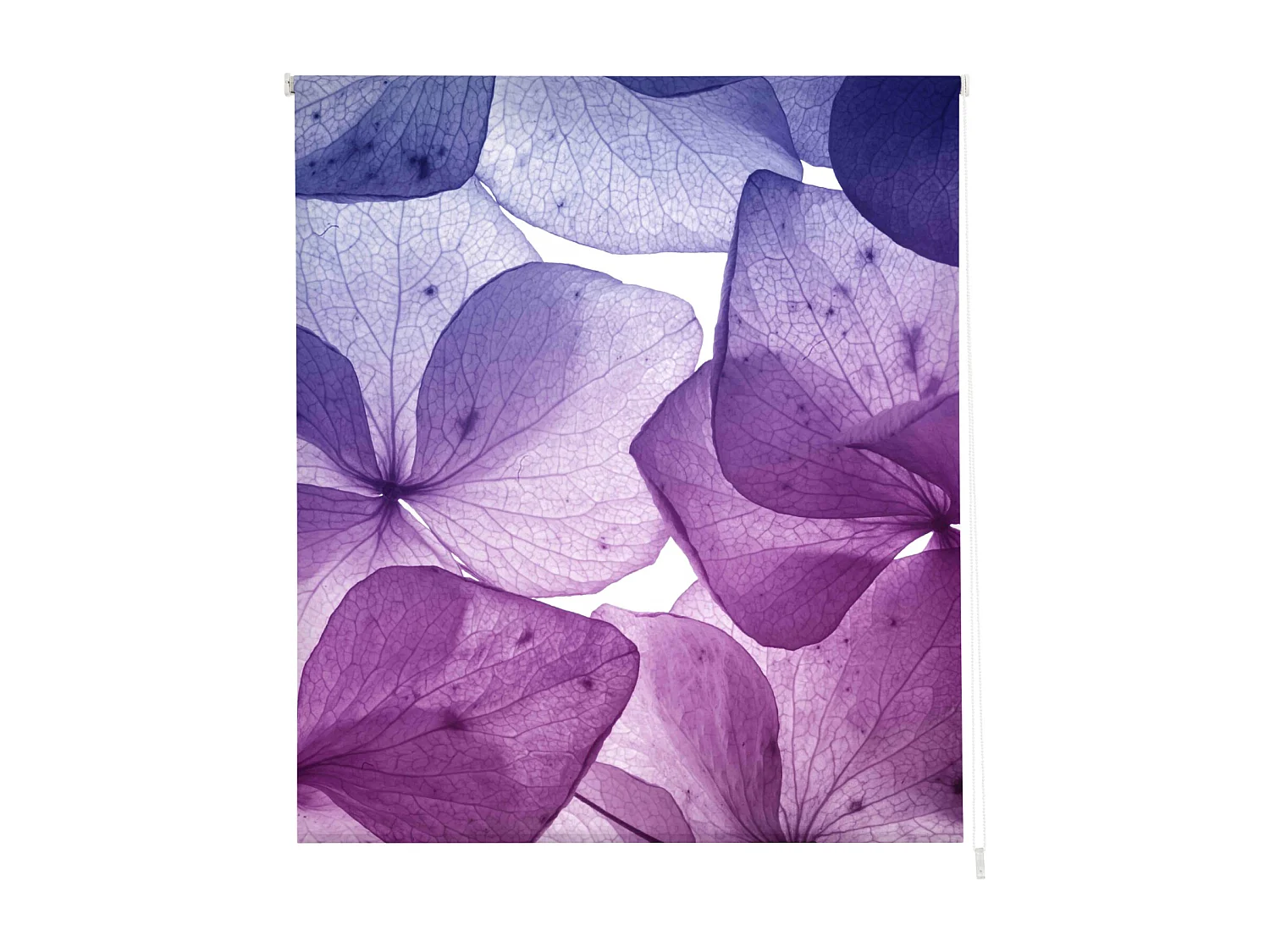 ESTORALIS | Estores Personalizados FLORES y PLANTAS  | 130 x 180 cm (Ancho por Alto) Tamaño de Tela 127 x 175 cm | Modelo F-1526 Color Unico