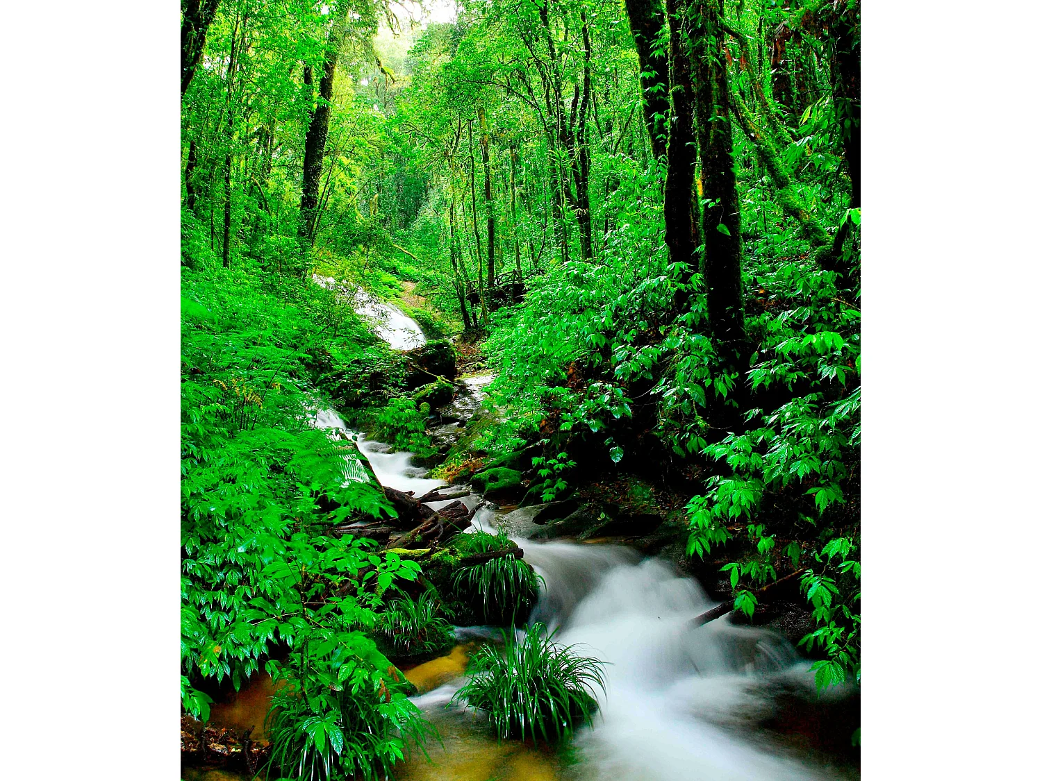 ESTORALIS | Estores Personalizados PAISAJES | 150 x 180 cm (Ancho por Alto) Tamaño de Tela 147 x 175 cm | Modelo P-3045 Color Unico