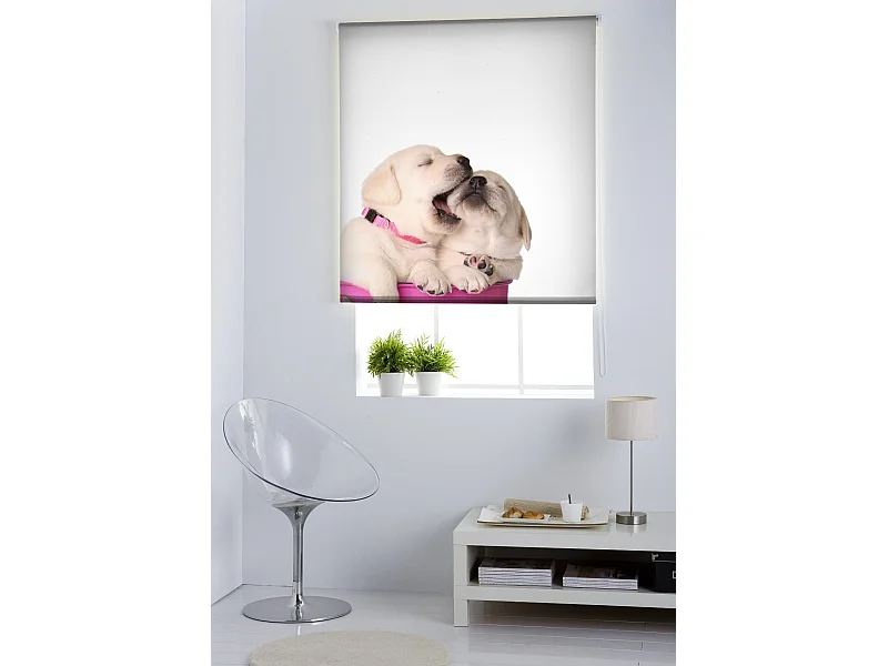 ESTORALIS | Estores Personalizados Easyfix ANIMALES  | 100 x 150 cm (Ancho por Alto) Tamaño de Tela 97 x 150 cm | Modelo A-196 Color Unico