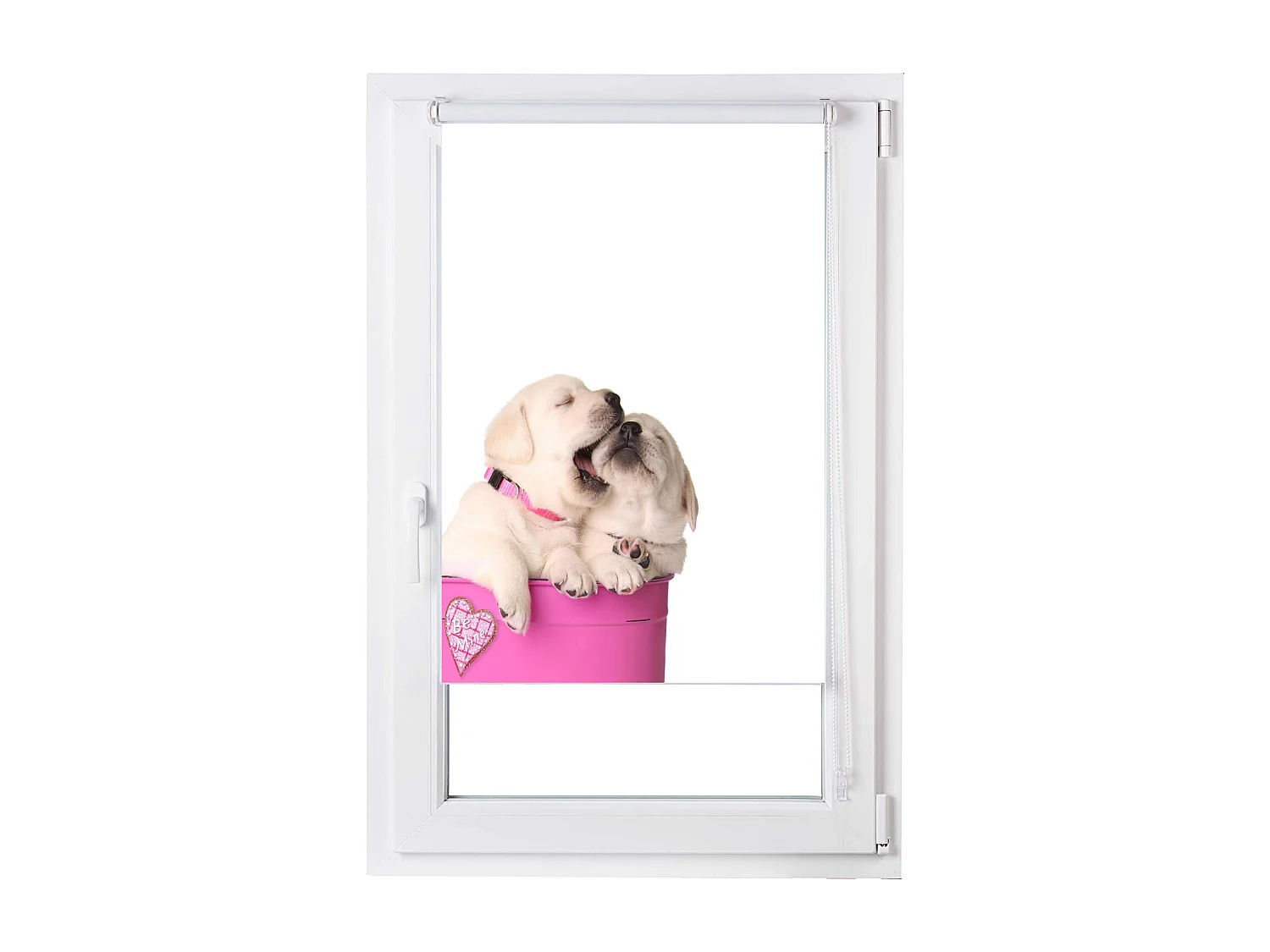 ESTORALIS | Estores Personalizados Easyfix ANIMALES  | 100 x 150 cm (Ancho por Alto) Tamaño de Tela 97 x 150 cm | Modelo A-196 Color Unico