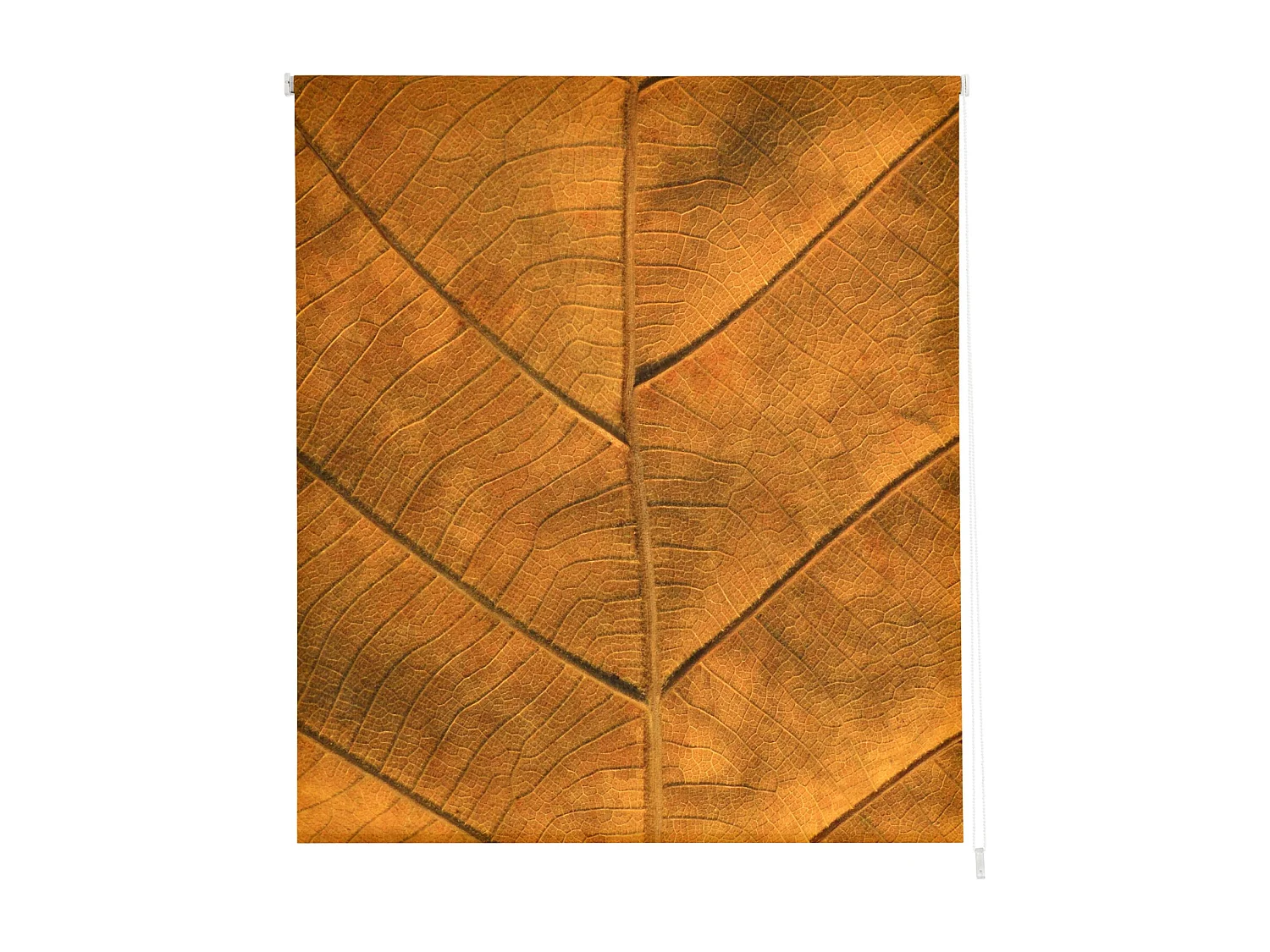 ESTORALIS | Estores Personalizados FLORES y PLANTAS  | 110 x 180 cm (Ancho por Alto) Tamaño de Tela 107 x 175 cm | Modelo F-1555 Color Unico