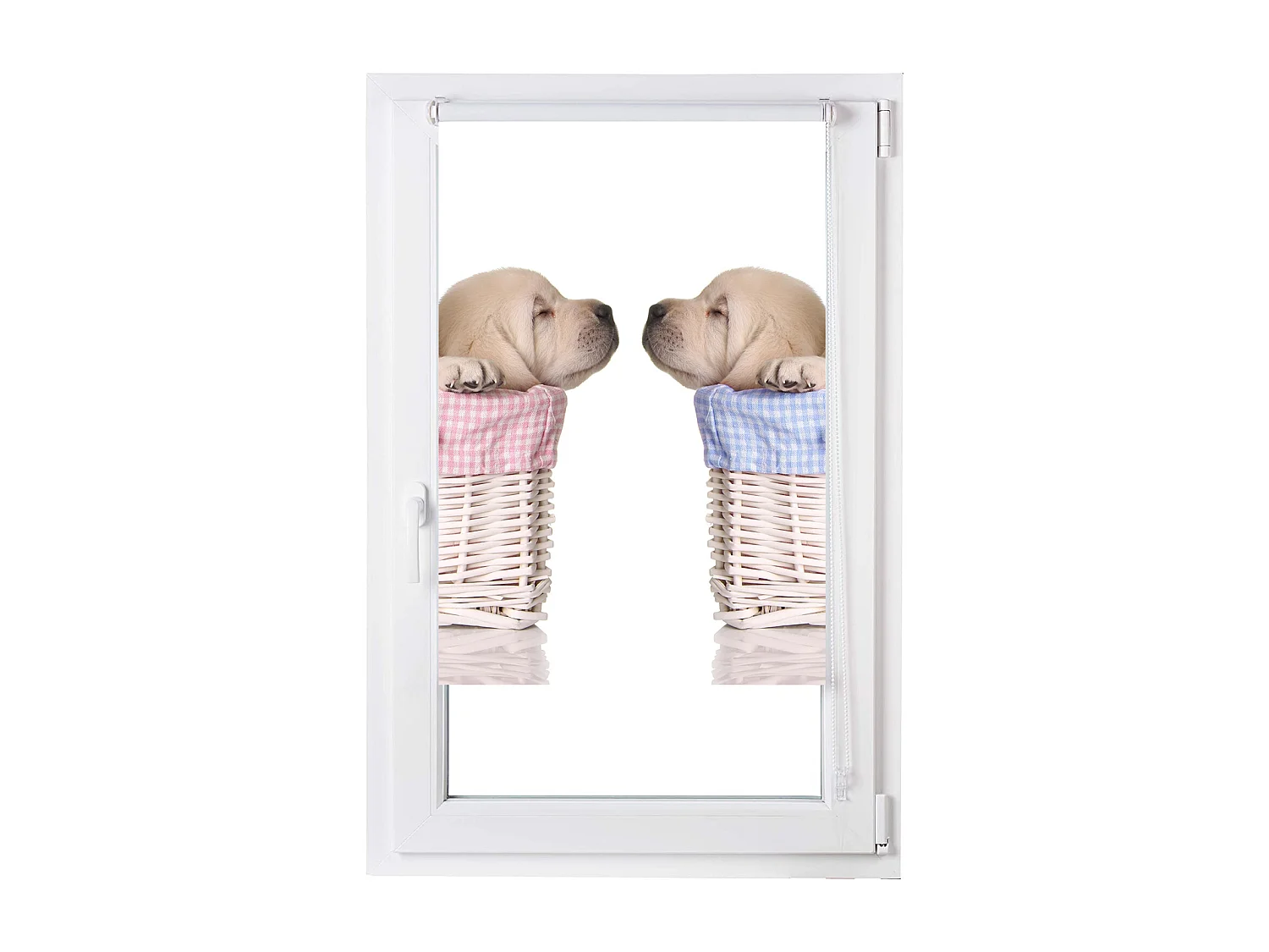 ESTORALIS | Estores Personalizados ANIMALES | 150 x 180 cm (Ancho por Alto) Tamaño de Tela 147 x 175 cm | Modelo A-1063 Color Unico