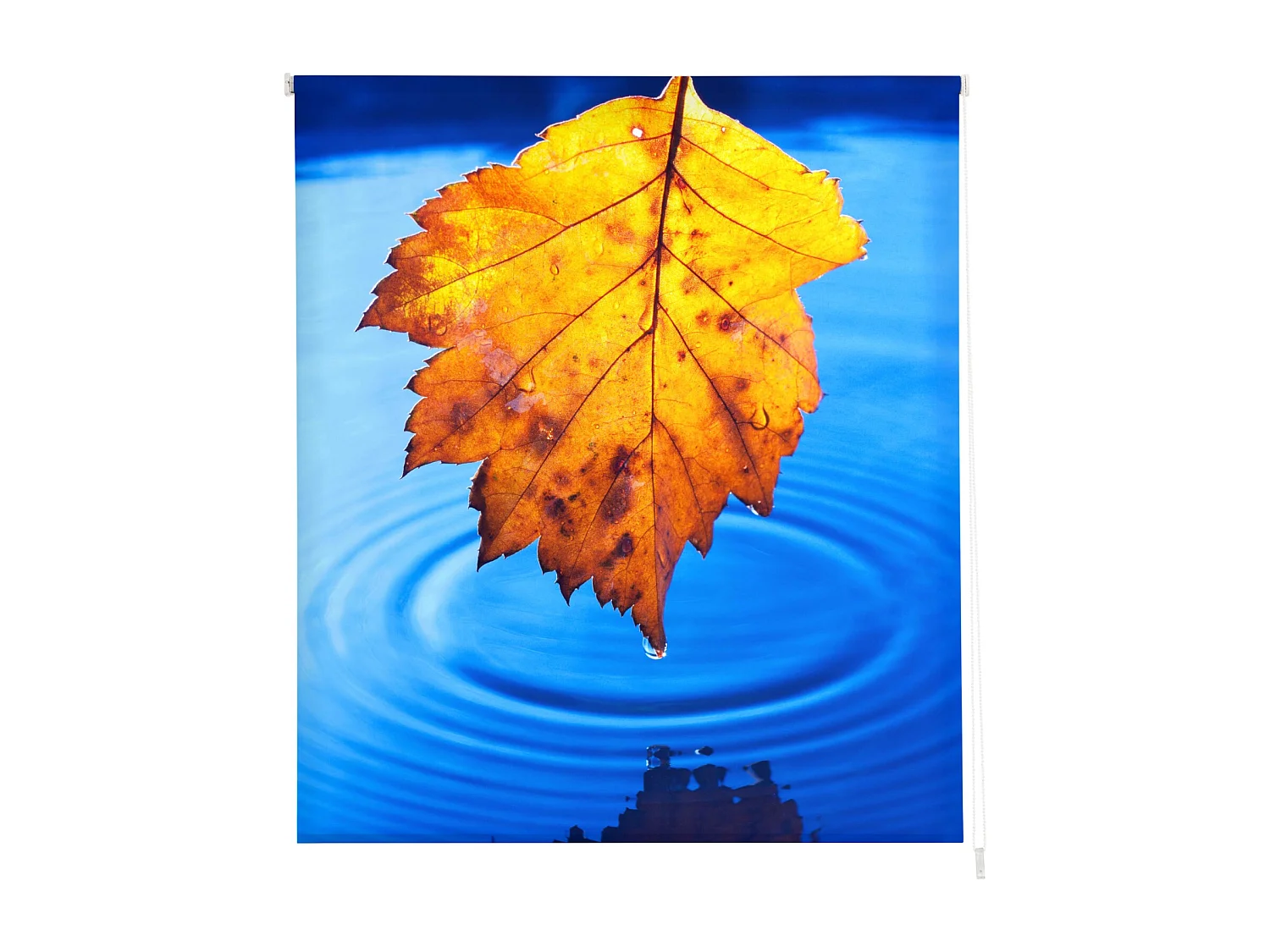 ESTORALIS | Estores Personalizados ZEN  | 110 x 180 cm (Ancho por Alto) Tamaño de Tela 107 x 175 cm | Modelo Z-4506 Color Unico