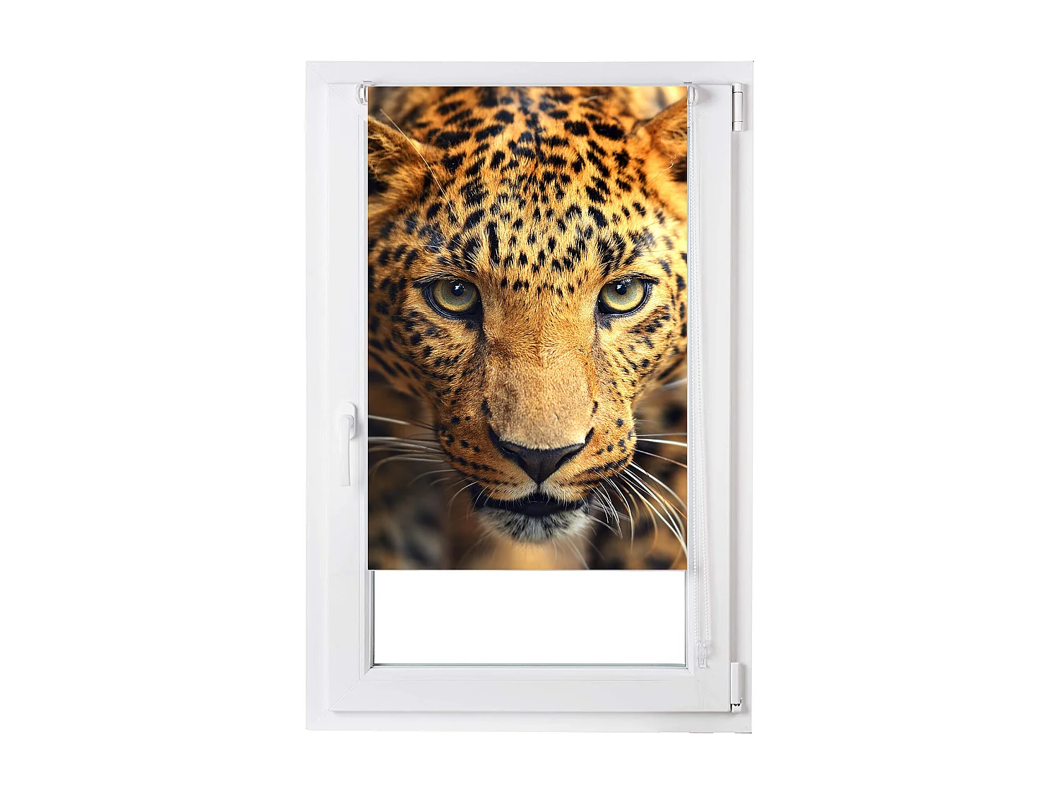 ESTORALIS | Estores Personalizados Easyfix ANIMALES  | 120 x 150 cm (Ancho por Alto) Tamaño de Tela 117 x 150 cm | Modelo A-122 Color Unico