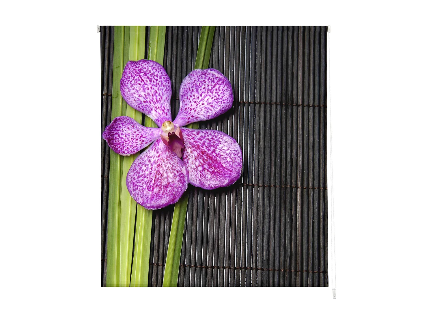 ESTORALIS | Estores Personalizados ZEN  | 130 x 255 cm (Ancho por Alto) Tamaño de Tela 127 x 250 cm | Modelo Z-1061 Color Unico