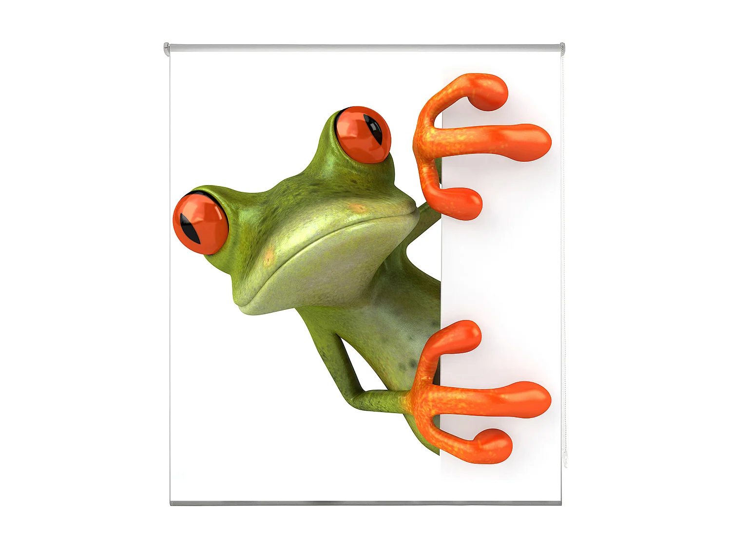 ESTORALIS | Estores Personalizados ANIMALES | 150 x 255 cm (Ancho por Alto) Tamaño de Tela 147 x 250 cm | Modelo A-861 Color Unico