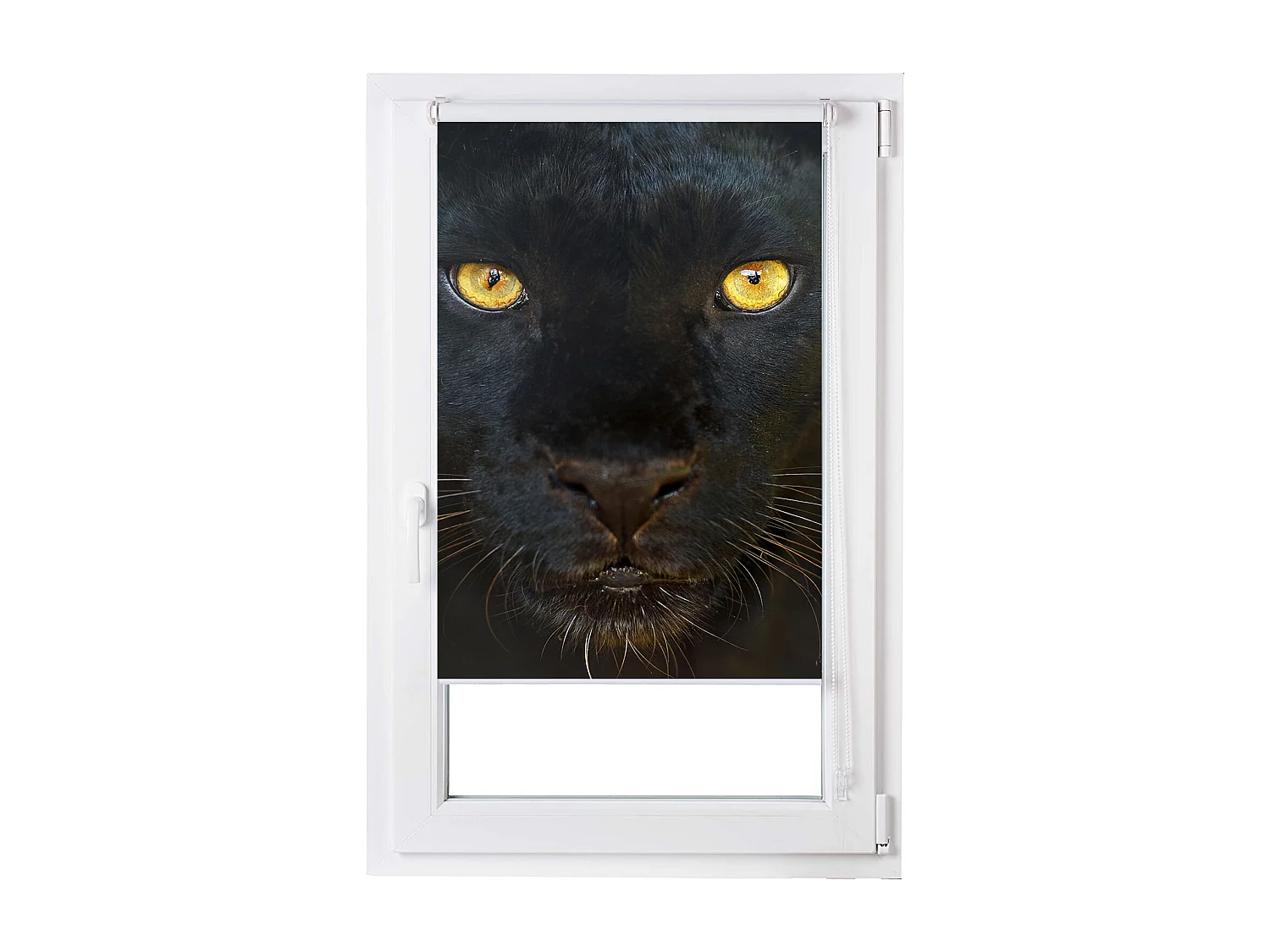 ESTORALIS | Estores Personalizados ANIMALES | 130 x 180 cm (Ancho por Alto) Tamaño de Tela 127 x 175 cm | Modelo A-124 Color Unico