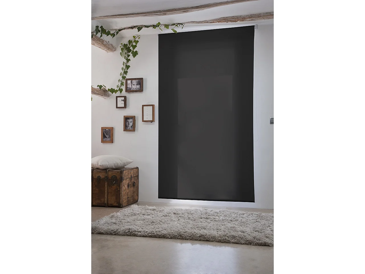 ESTORALIS | Estores Enrollables Lisos Translucidos | 150 x 235 cm (Ancho por Alto) Tamaño de Tela 147 x 230 cm | Modelo GOVE Color Antracita