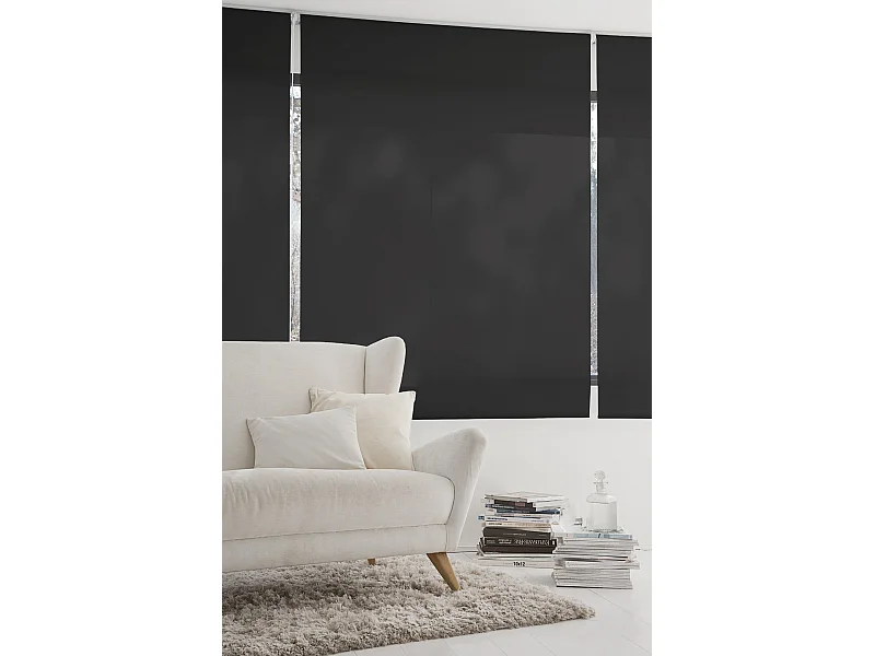 ESTORALIS | Estores Enrollables Lisos Translucidos | 150 x 235 cm (Ancho por Alto) Tamaño de Tela 147 x 230 cm | Modelo GOVE Color Antracita